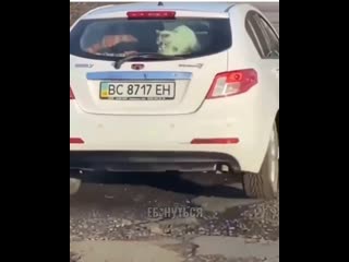 fucking roads in ukraine