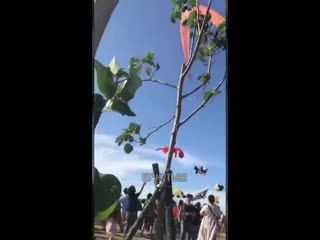 in taiwan, a kite carried a three-year-old teen into the sky.