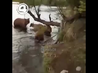 fishing in russian