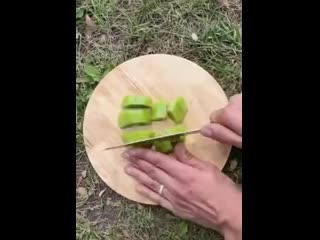 culinary break. chicken in watermelon