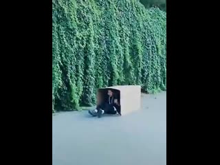 prank with a box