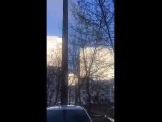 in minsk, the ministry of emergency situations decided to remove the cat from the tree with water pressure and the ending turned out to be obvious.